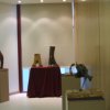 almeida0991